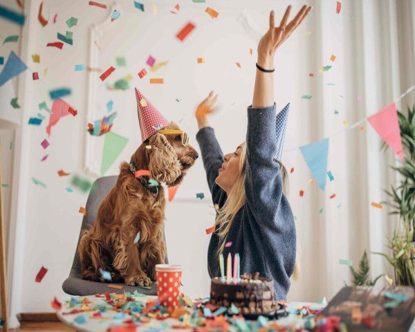 Dog party