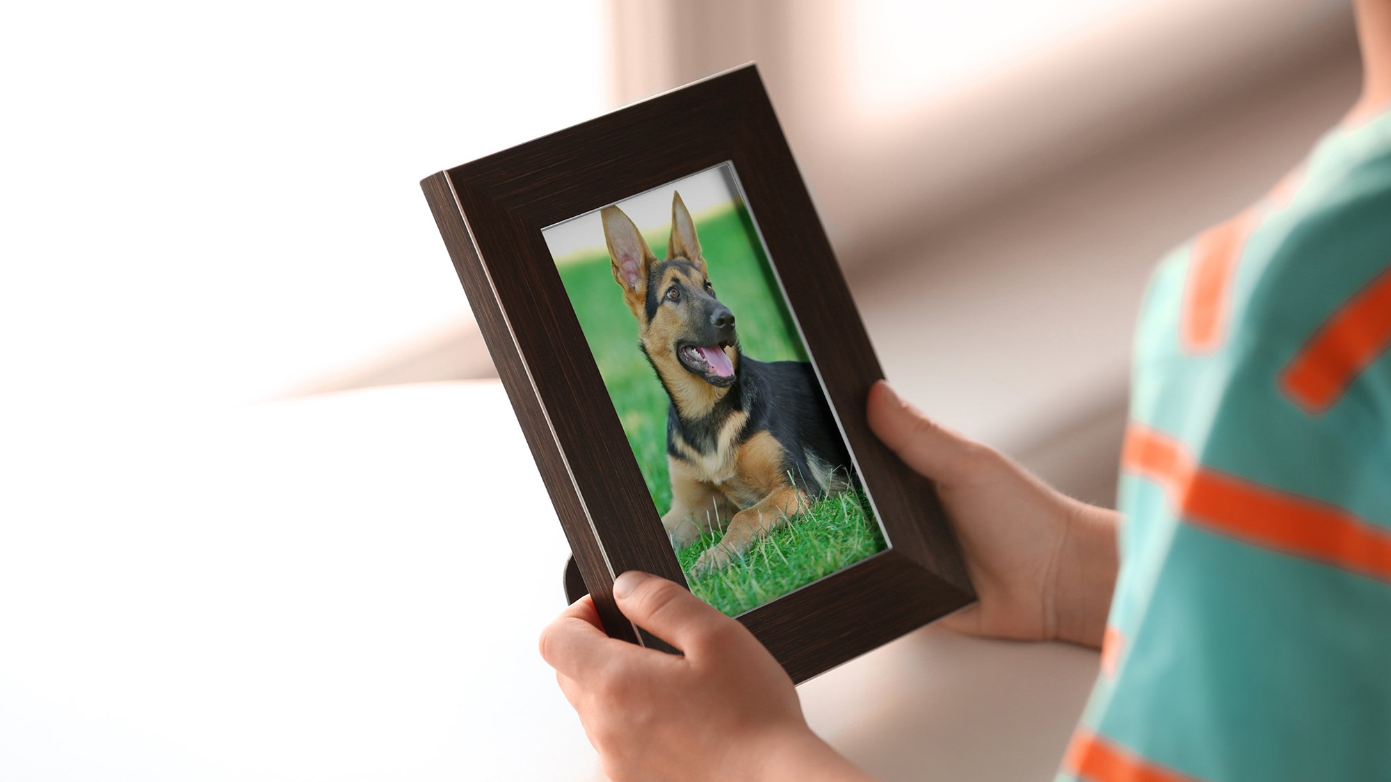 Dog in photo