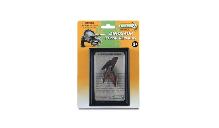 CollectA Triceratops Tooth In Display Case - 3 Years +