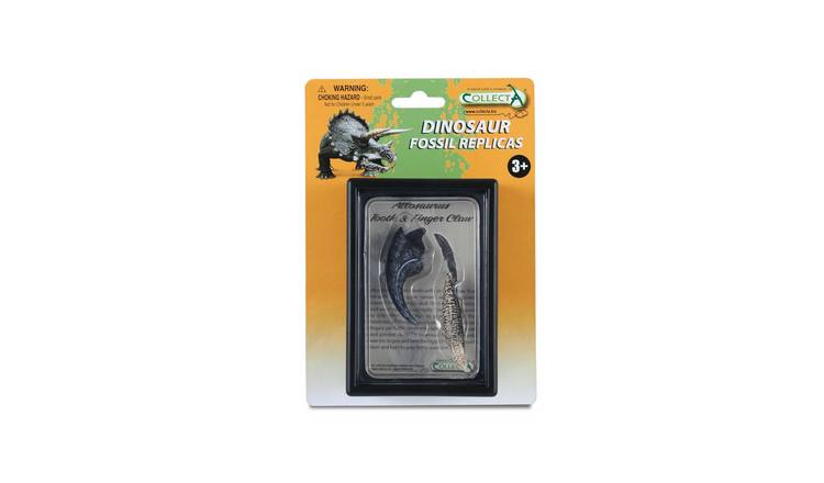 CollectA Tooth & Finger Claw Of Allosaurus In Display Case - 3 Years +