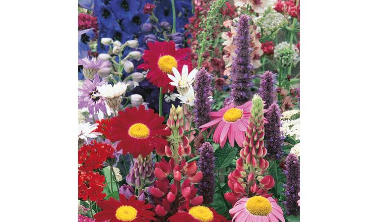 Unwins Cottage Garden Seeds 'Border Perennials Mix' - 500 Seeds