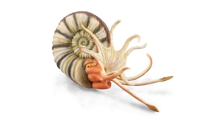 CollectA Pleuroceras Ammonite - 3 Years +