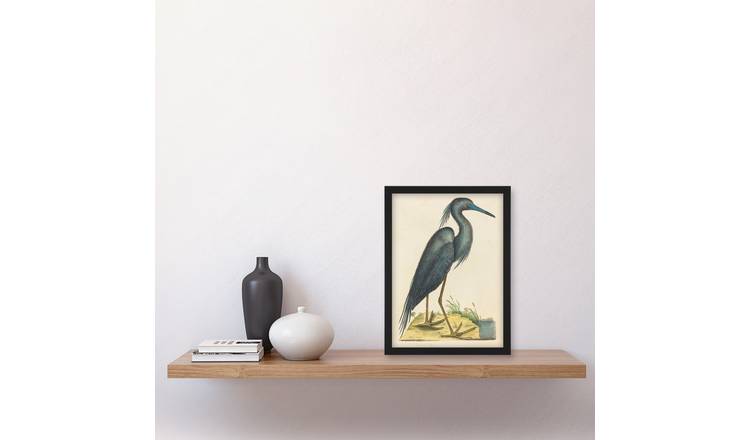 Catesby Blue Heron Natural History Illustration Framed Art Print - A4