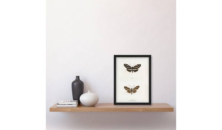Sherman Denton Zebra Longwing Butterfly Framed Art Print - A4
