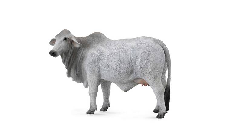 CollectA Brahman Cow - 3 Years +