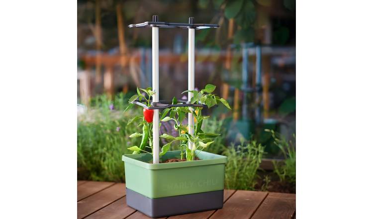 Gusta Garden Charly Chili Self-Watering Chilli Pot with Climbing Aid - Green