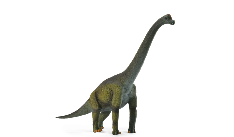 CollectA Brachiosaurus - 3 Years +