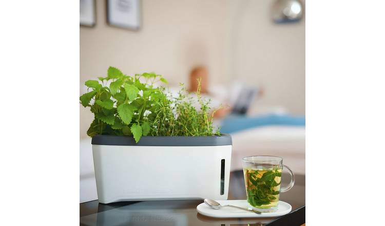 Gusta Garden Harry Herbs 4-in-1 Herb Pot and Water Reservoir - Grey