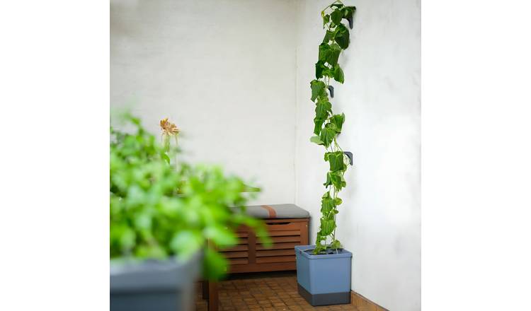 Gusta Garden Curt Cucumber Self-Watering Cucumber Planter with Trellis - Blue