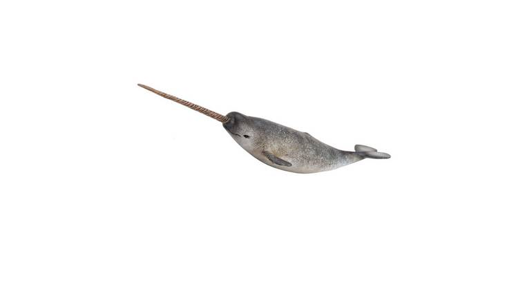 CollectA Narwhal - 3 Years +