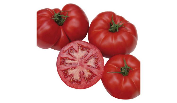 Marshalls Garden Cordon Tomato Seeds Organic 'Country Taste' F1 - 8 Seeds