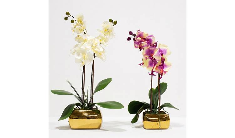 Homescapes Brushed Gold Vase Artificial Orchid Pair - White