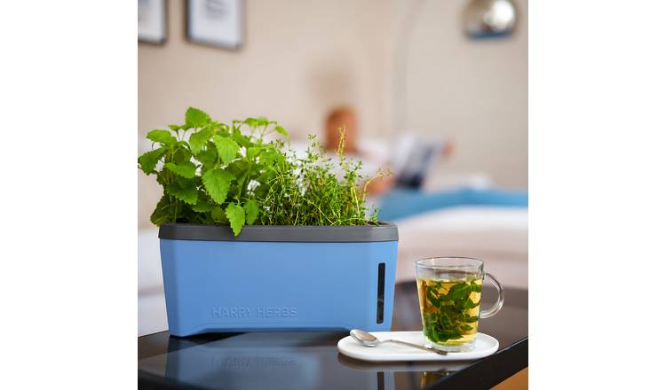 Gusta Garden Harry Herbs 4-in-1 Herb Pot and Water Reservoir - Blue