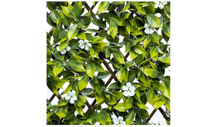 Ark Mat Expanding Wooden Trellis Privacy Screen - 200cm x 100cm - Sakura