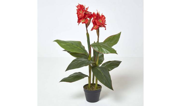 Homescapes Handcrafted Artificial Canna Lily Plant - Red