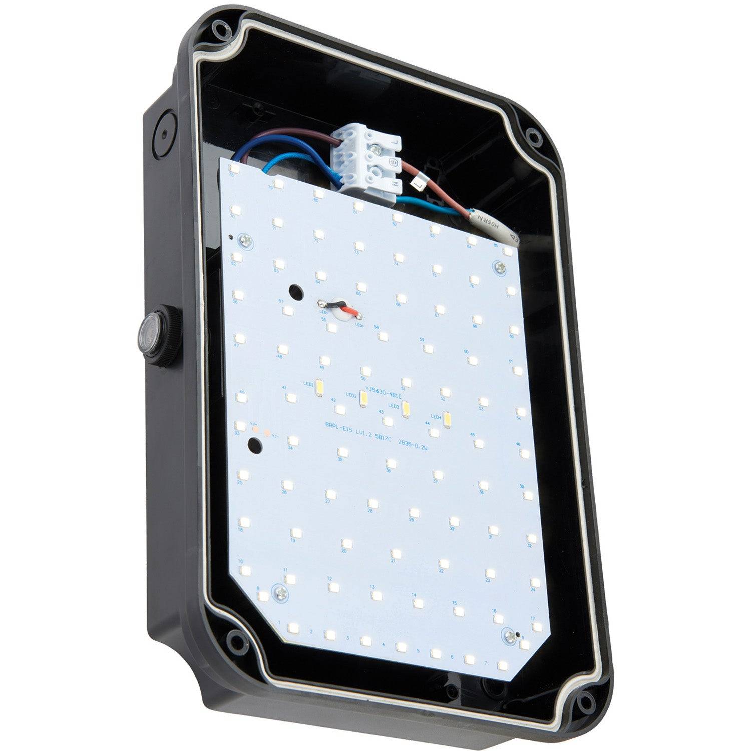 Loops Direct Photocell LED Bulkhead Wall Light - Black Cool White - Image 2