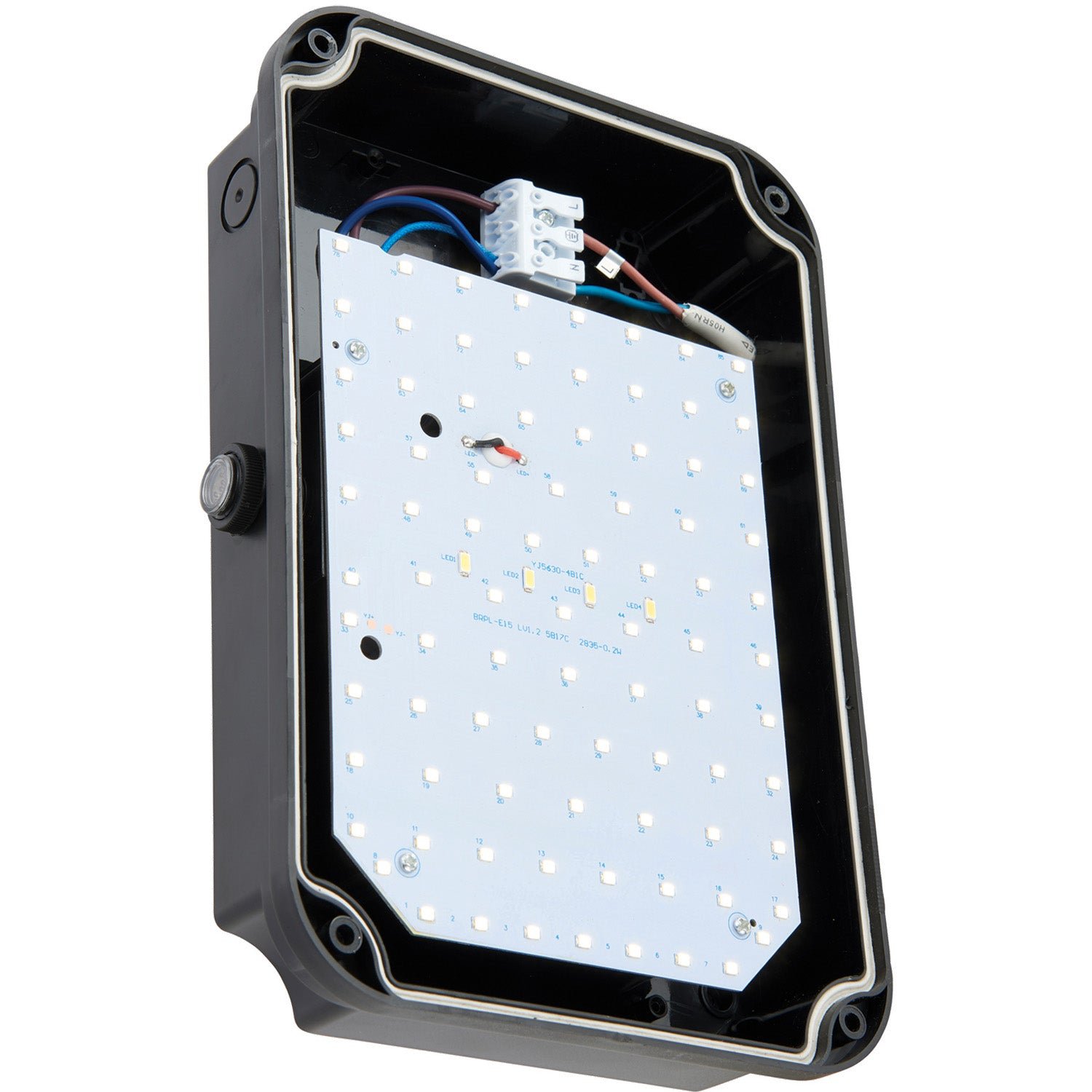 Loops Direct Photocell LED Bulkhead Wall Light - Black Cool White - Image 3