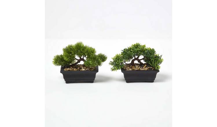 Homescapes Artificial Bonsai Trees in Decorative Pots - Green