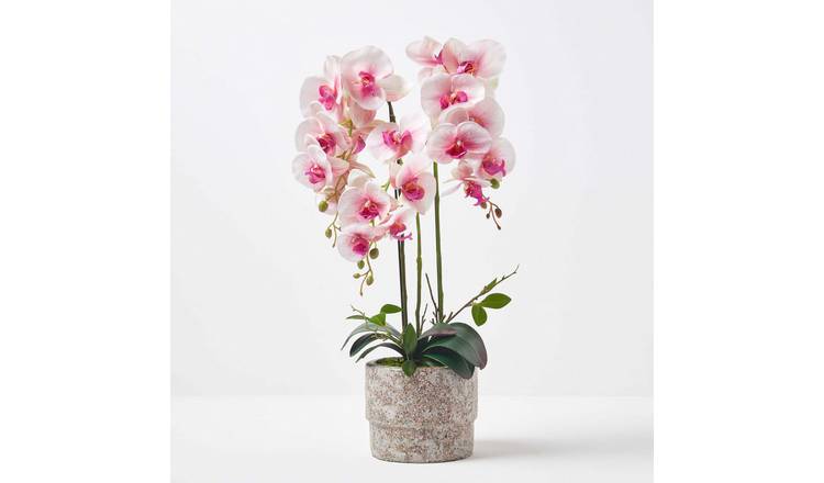Homescapes Artificial Phalaenopsis Orchid Plant in Cement Pot - Pink