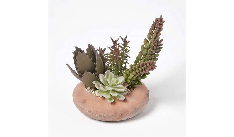Homescapes Artificial Succulent Planter - multicoloured