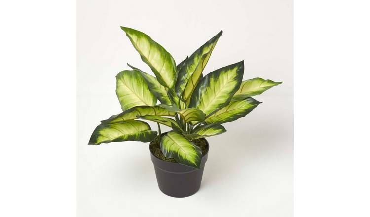 Homescapes Handcrafted Dieffenbachia Dumb Cane Artificial Plant in Pot - Green