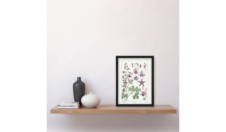 Maurice Pillard Verneuil Columbine Aquilegia Flower Framed Art Print - A4
