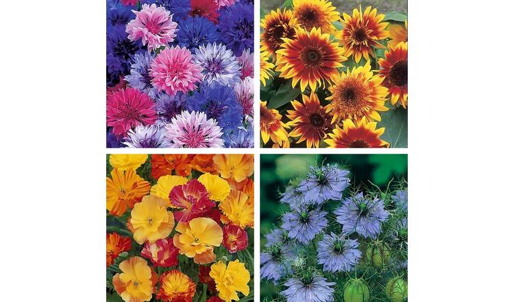 Unwins Scatter & Grow Seeds Collection - 4 Packets