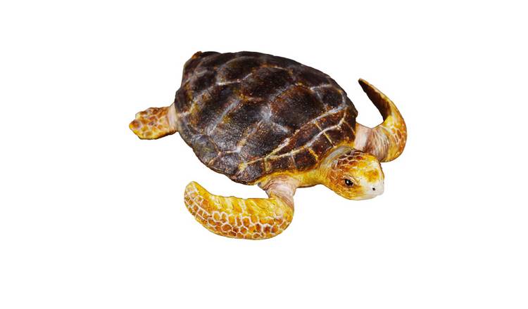 CollectA Loggerhead Turtle - 3 Years +