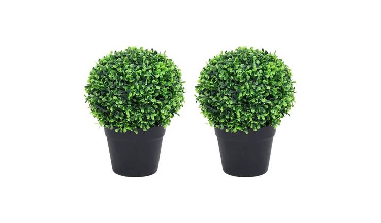 Walplus Pack of 2 Boxwood Plants with Pots Ball Shaped - Green - 27 cm