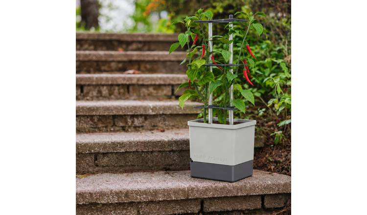 Gusta Garden Charly Chili Self-Watering Chilli Pot with Climbing Aid - XL Grey