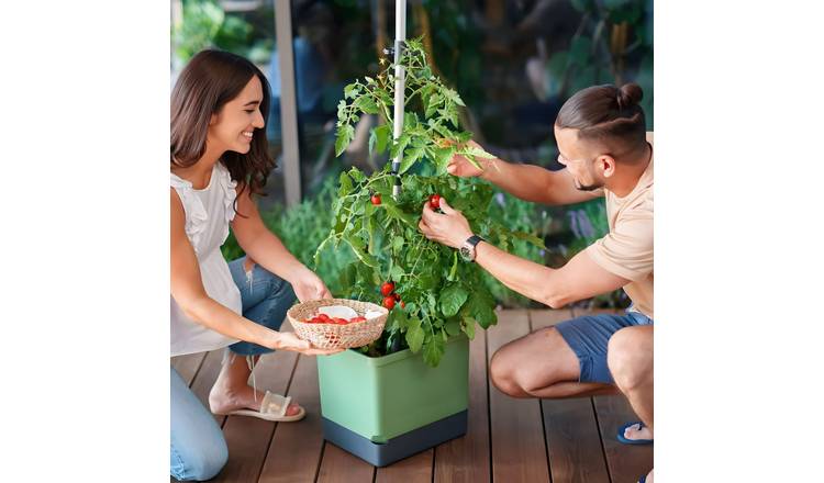 Gusta Garden Tom Tomato Self-Watering Tomato Pot with Climbing Aid - Green