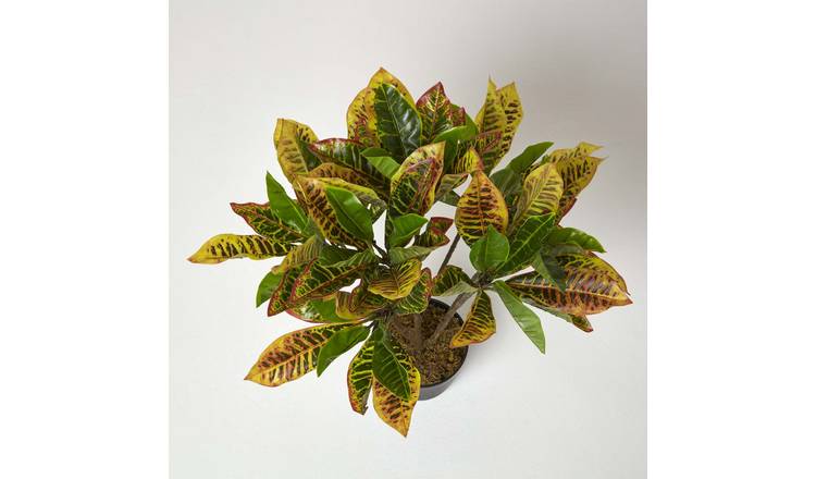 Homescapes Handcrafted Artificial Croton Plant with Pot - Green
