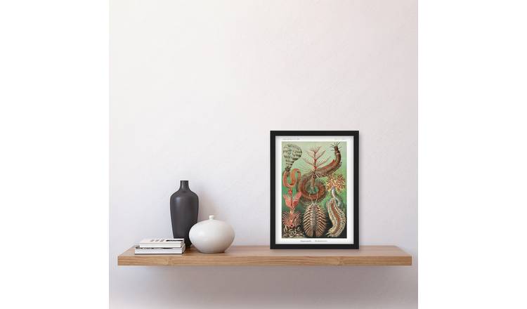 Ernst Haeckel Chaetopoda Annelid Marine Worms Framed Art Print - A4