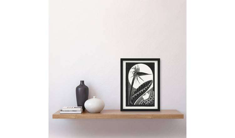 Samuel J De Mesquita Strelitzia Overblown And Full Moon Framed Art Print - A4