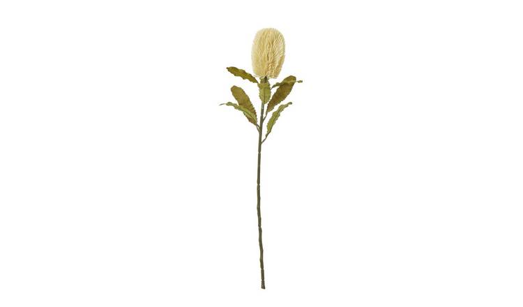Hill Interiors Banksia Serrata Artificial Flower - Cream