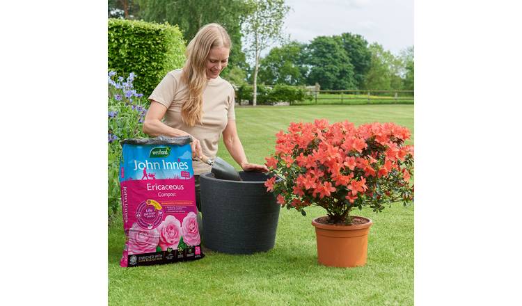 Westland John Innes Peat-Free Ericaceous Compost - 28 Litres