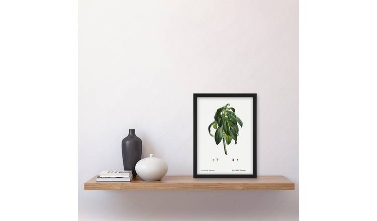 Redoute Spurge Laurel Vintage Botanical Illustration Framed Art Print - A4