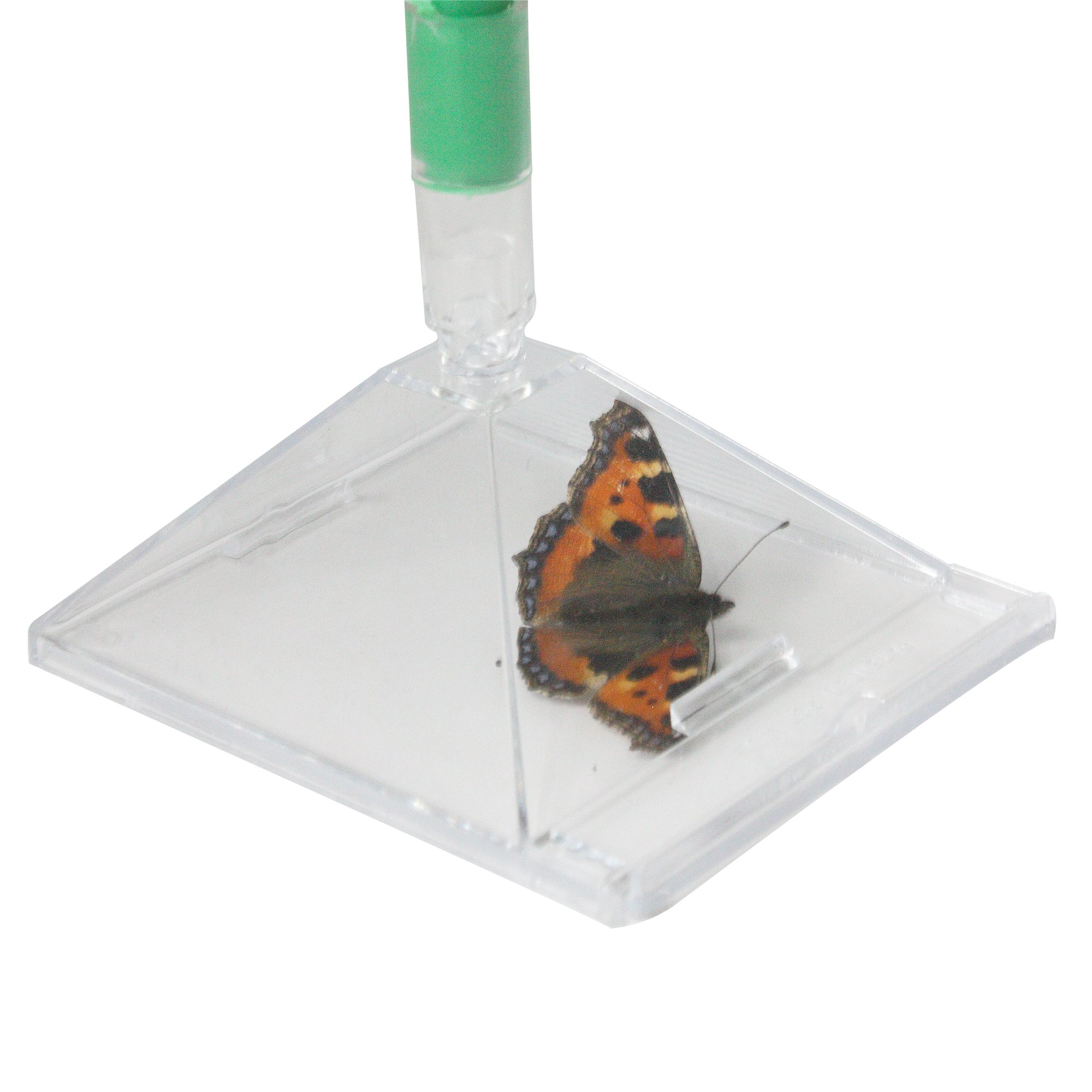 Katcha Bug Spider & Insect Trap - 2pc Handle - Green - Image 3