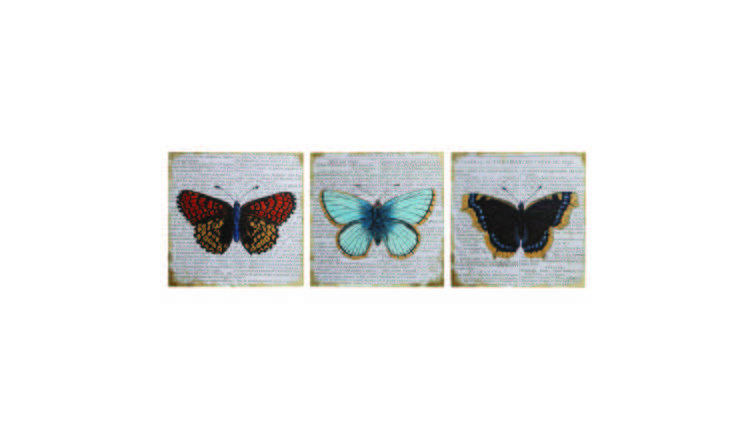 Orsina Madera Butterfly Wall Plaque - Set of 3