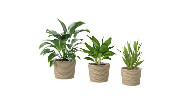 Outsunny 3 Seagrass Plant Pots with Plastic Liners - Natural Wood
