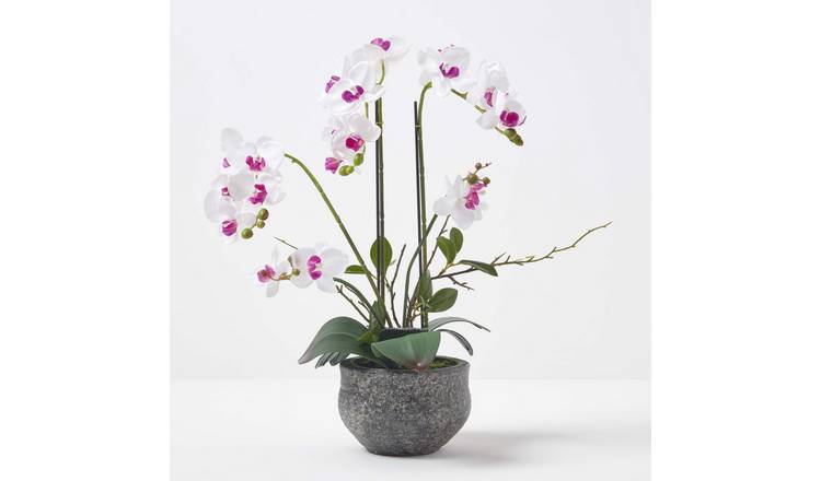 Homescapes Handcrafted Artificial Orchid Phalaenopsis 52 cm - White