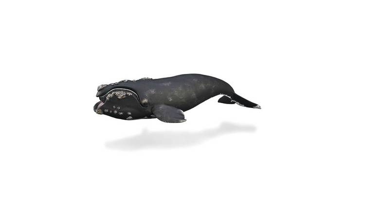 CollectA Right Whale - 3 Years +