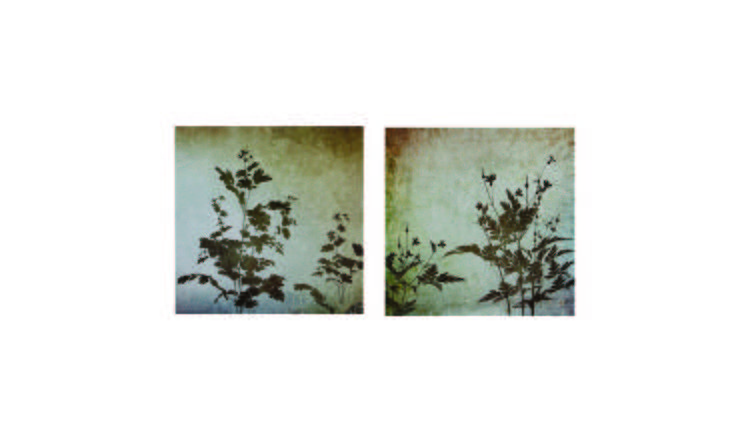 Orsina Madera Textured Florals Wall Plaques - Set of 2