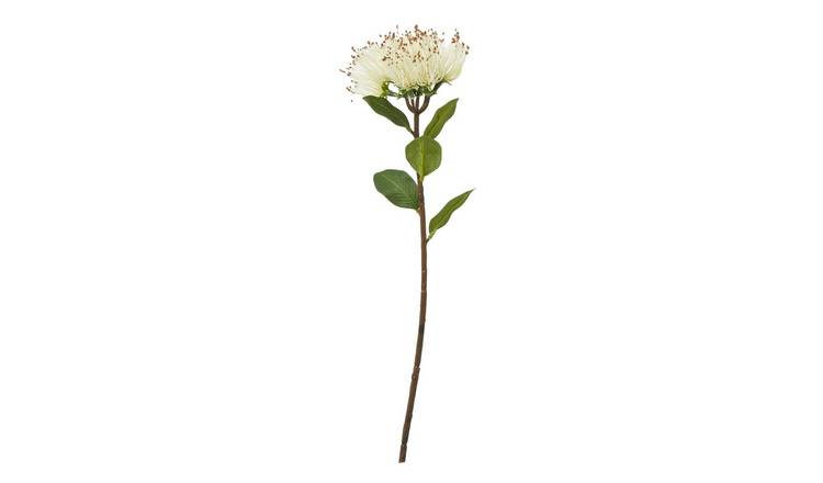 Hill Interiors Protea Nitida Stem Artificial Plant - Cream