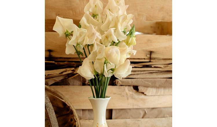 Unwins Sweet Pea Seeds 'Songbird' - 15 Seeds