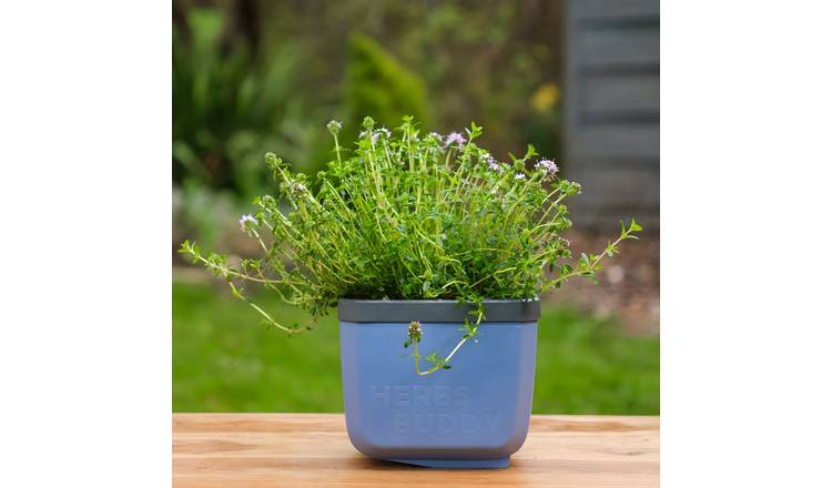 Gusta Garden Herbs Buddy Self-Watering Kitchen Herb Pot - Blue 1 Piece