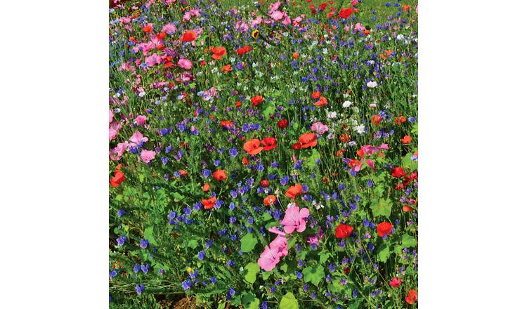 Unwins Bee and Butterfly Seed Mix - 600 Seeds