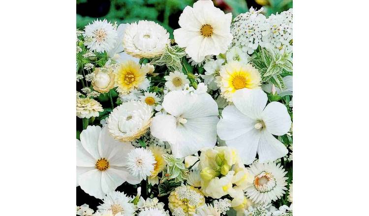Unwins Mixed Annuals Seeds Unwins 'Sea Of White' - 1.5g Seeds