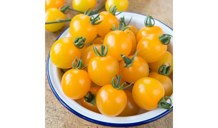 Marshalls Garden Tomato Seeds 'Yellow Mimi' F1 - 10 Seeds