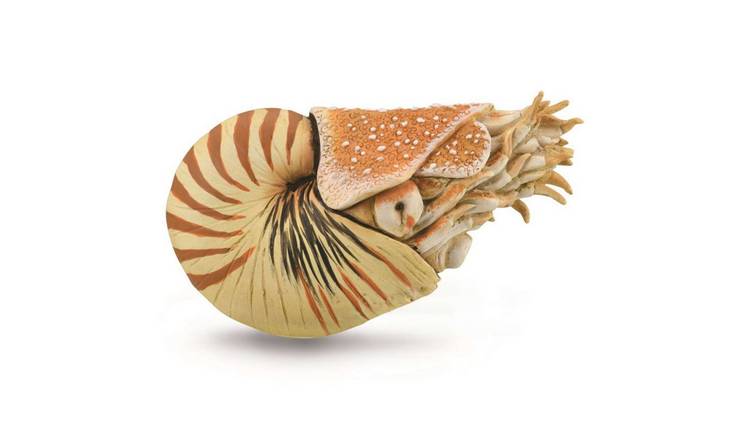 CollectA Nautilus Pompilius - 3 Years +